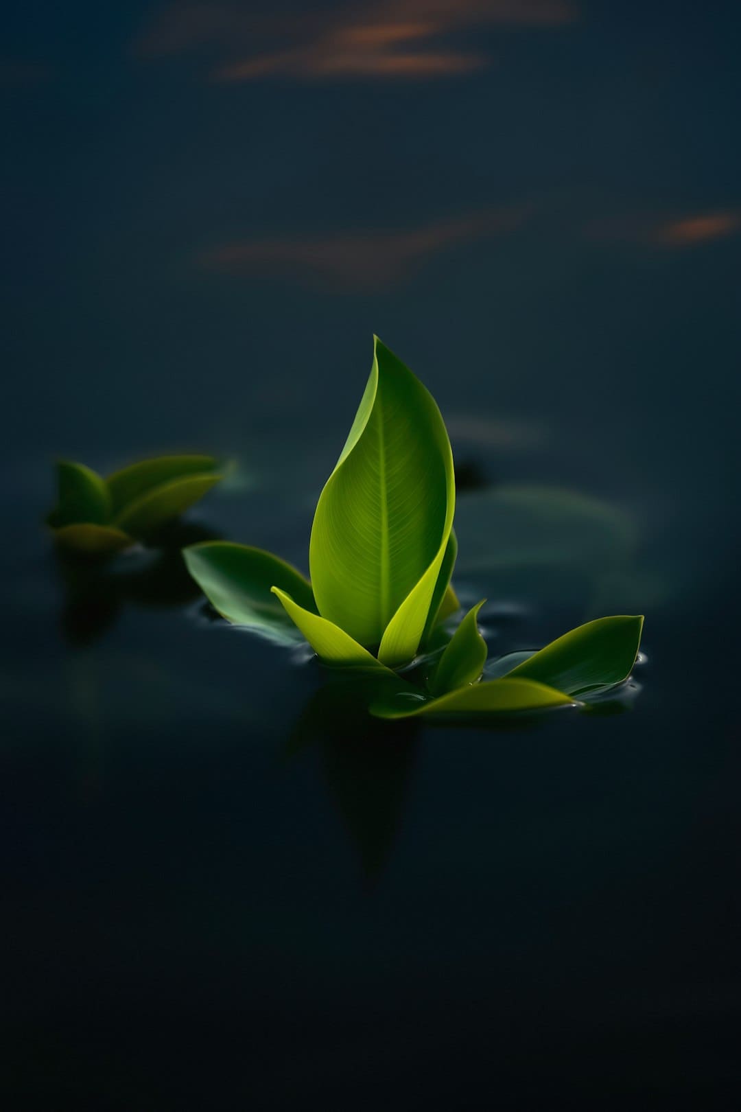 股票的危险来自何处?